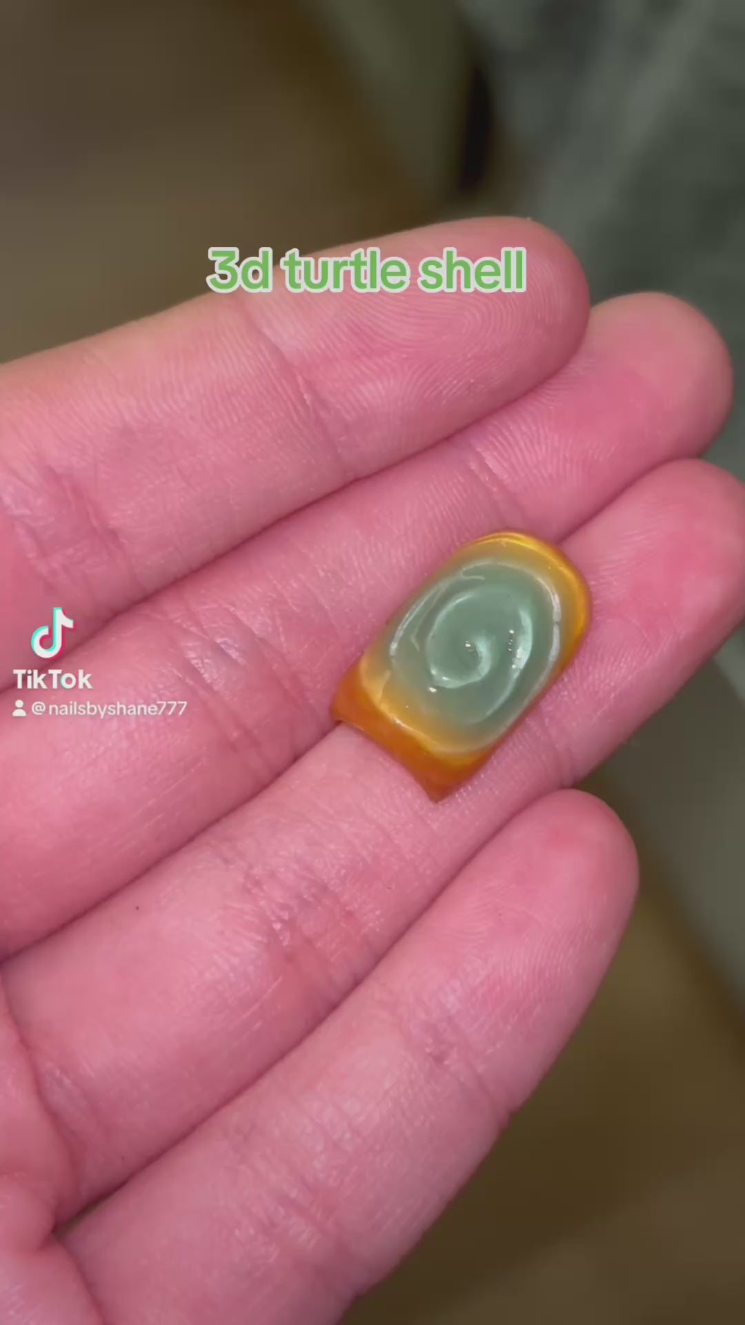 Turtle shell 3d custom